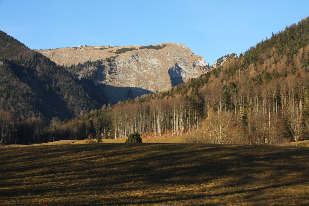 Haus Seeschwalbe Sankt Wolfgang im Salzkammergut Экстерьер фото